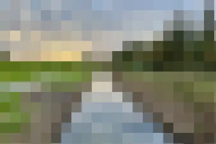 Boskamp 94 Maasland thumbnail 51