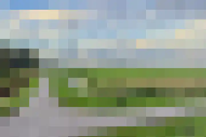 Boskamp 94 Maasland thumbnail 53
