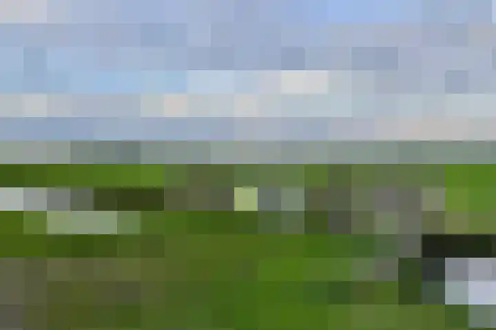 Boskamp 94 Maasland thumbnail 54