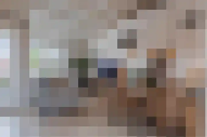 Boskamp 94 Maasland thumbnail 7