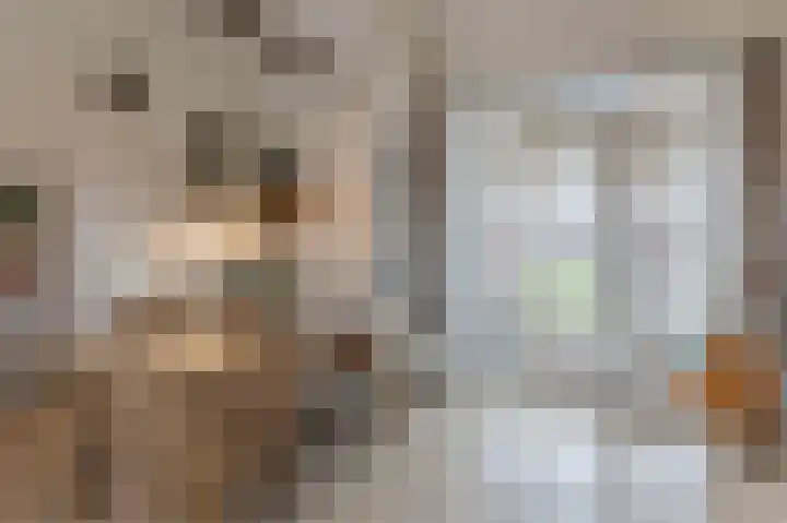 Boskamp 94 Maasland thumbnail 8