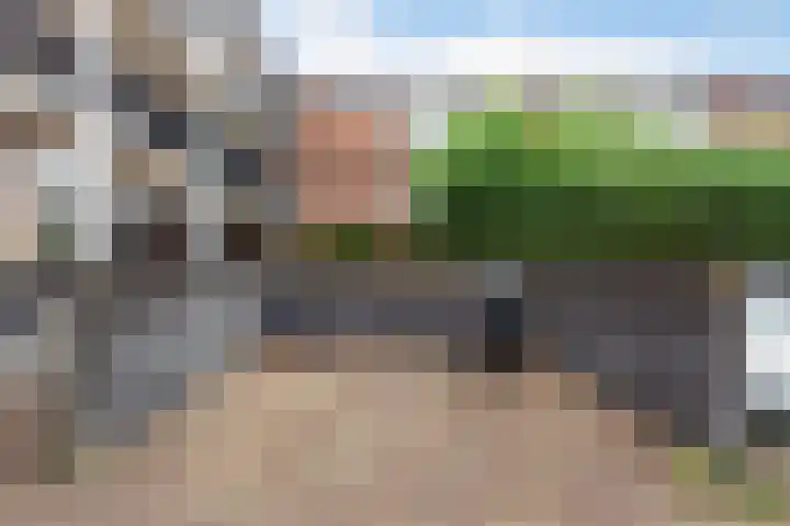 Boskamp 96 Maasland thumbnail 11