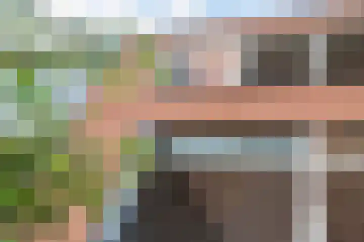 Boskamp 96 Maasland thumbnail 12