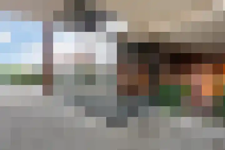 Boskamp 96 Maasland thumbnail 13