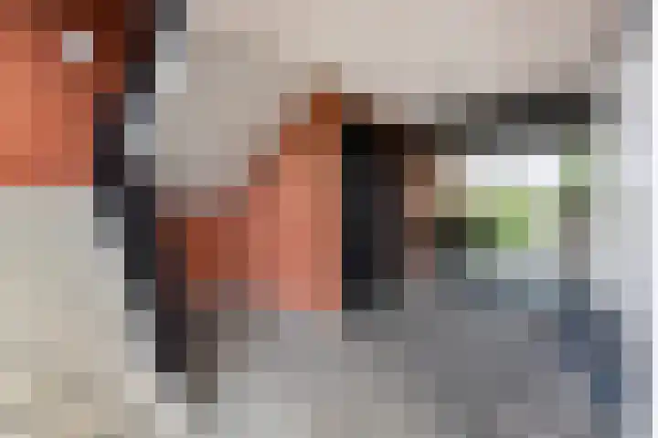 Boskamp 96 Maasland thumbnail 14