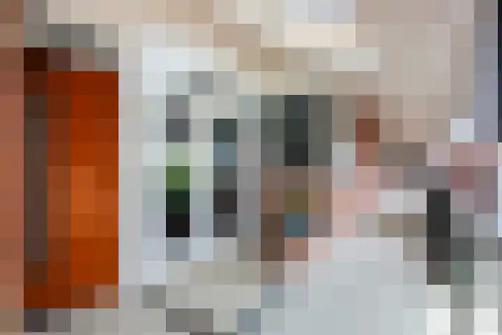 Boskamp 96 Maasland thumbnail 15