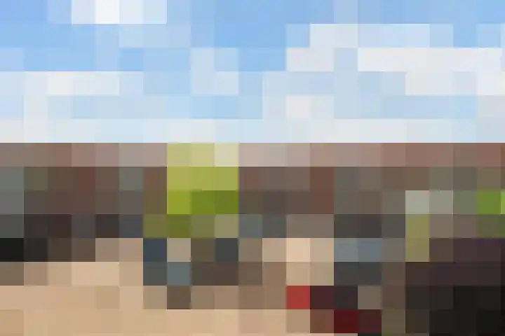 Boskamp 96 Maasland thumbnail 16
