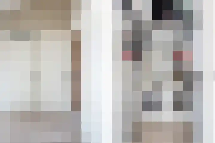 Boskamp 96 Maasland thumbnail 19