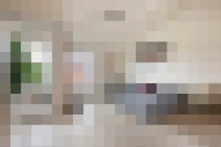 Boskamp 96 Maasland thumbnail 22