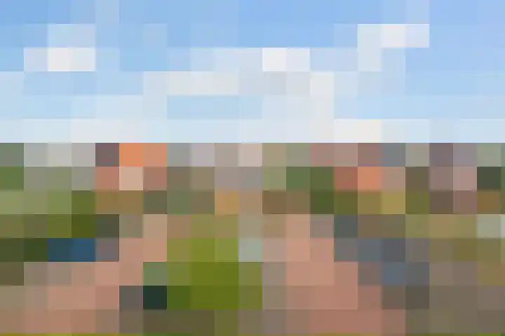Boskamp 96 Maasland thumbnail 23