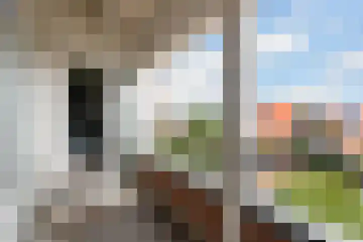 Boskamp 96 Maasland thumbnail 24