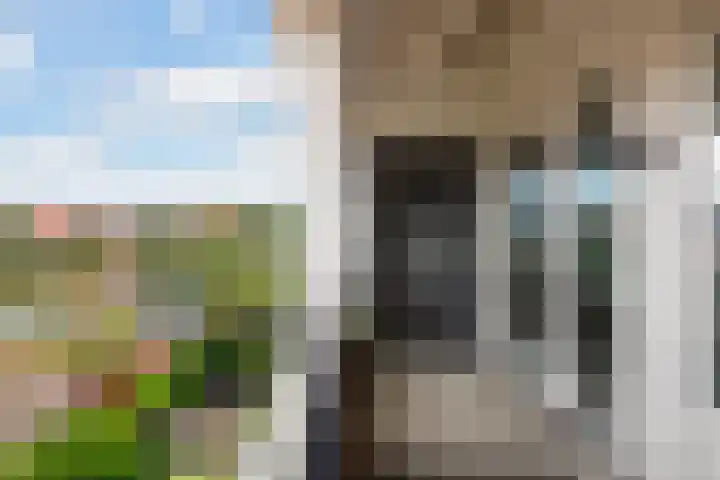 Boskamp 96 Maasland thumbnail 25