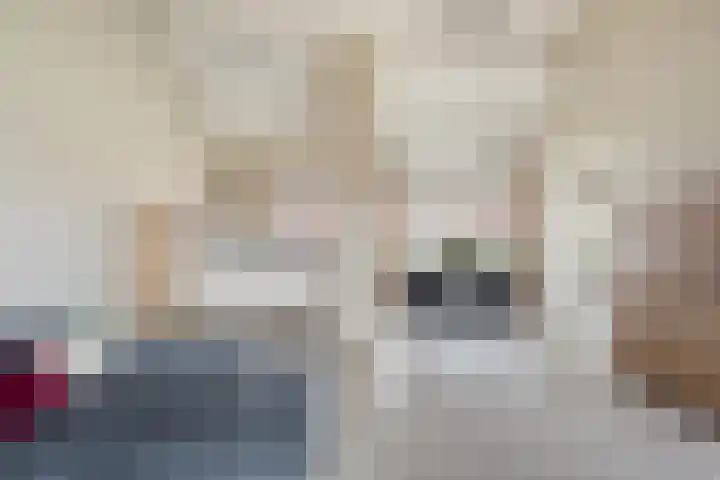 Boskamp 96 Maasland thumbnail 27