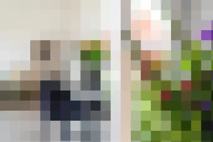 Boskamp 96 Maasland thumbnail 29