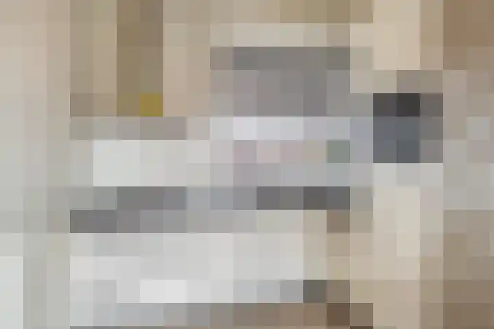Boskamp 96 Maasland thumbnail 31