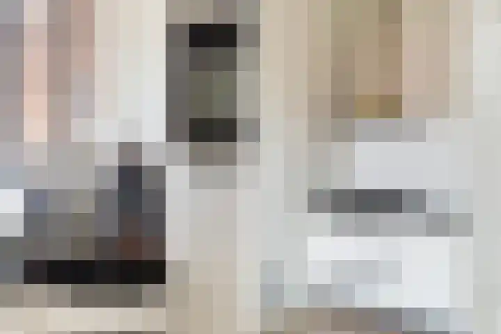 Boskamp 96 Maasland thumbnail 32