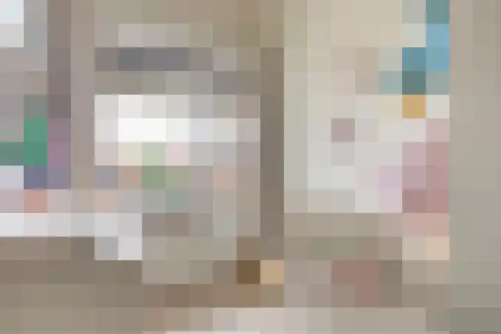 Boskamp 96 Maasland thumbnail 33