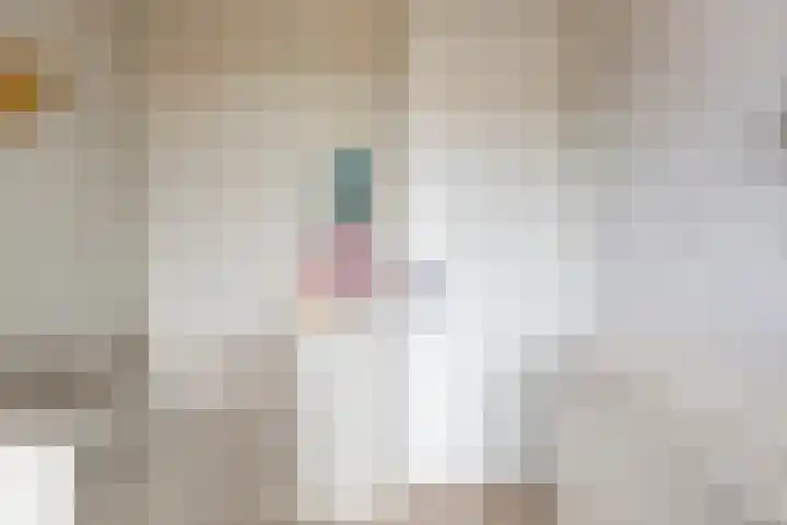 Boskamp 96 Maasland thumbnail 34