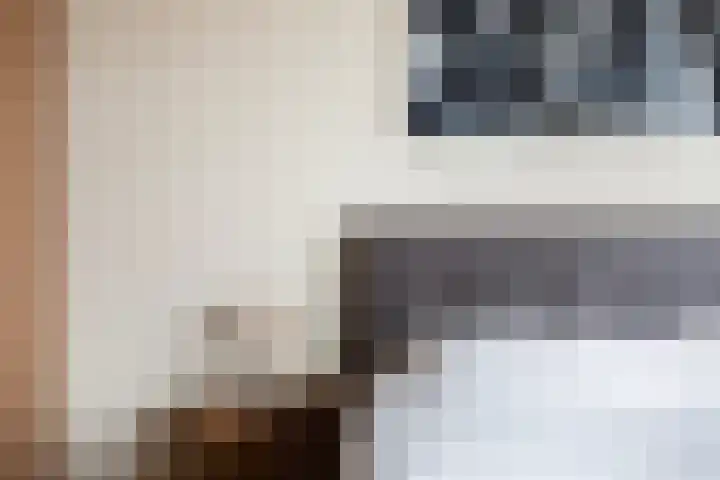 Boskamp 96 Maasland thumbnail 36