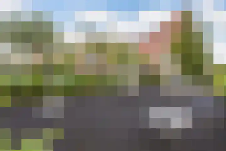Boskamp 96 Maasland thumbnail 40