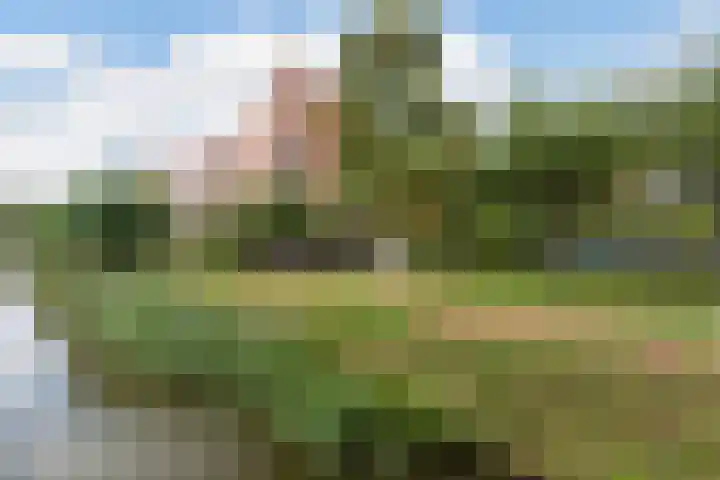 Boskamp 96 Maasland thumbnail 41