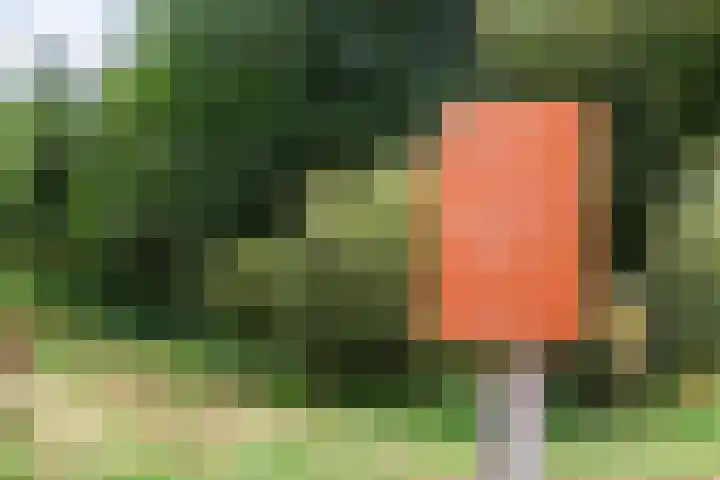 Boskamp 96 Maasland thumbnail 42