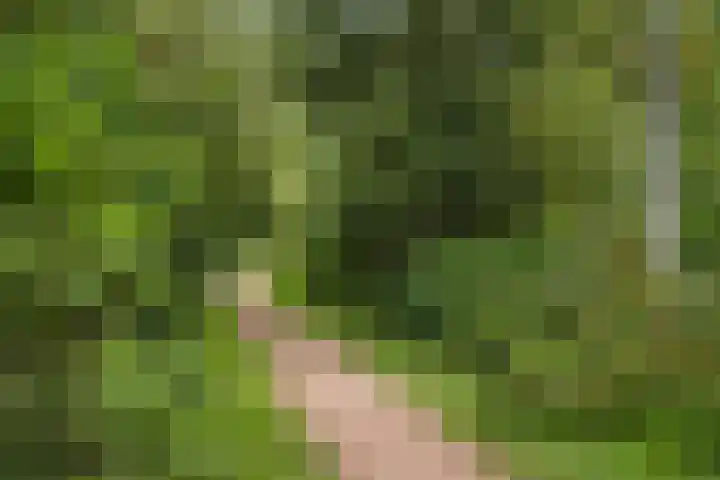 Boskamp 96 Maasland thumbnail 43
