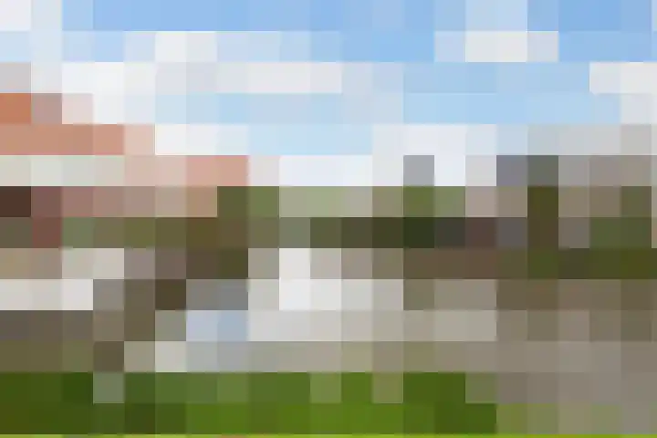 Boskamp 96 Maasland thumbnail 44