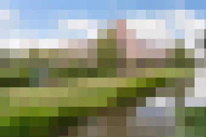 Boskamp 96 Maasland thumbnail 5