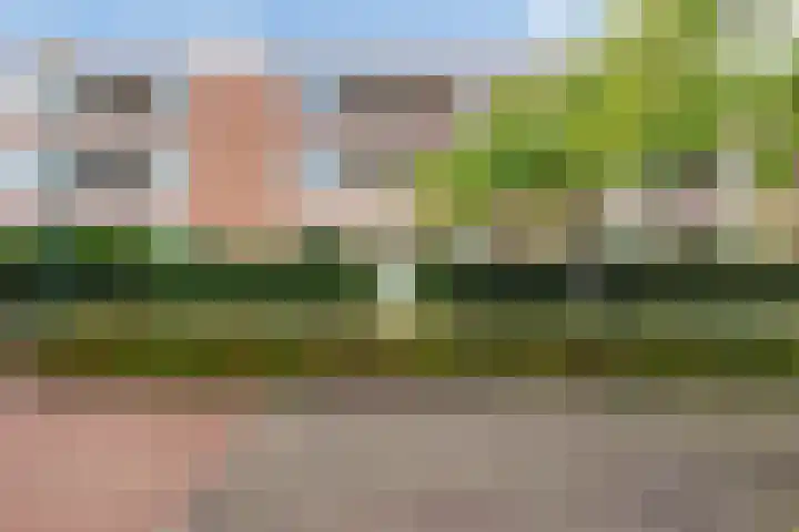Boskamp 96 Maasland thumbnail 6