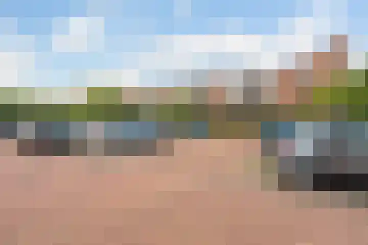 Boskamp 96 Maasland thumbnail 7
