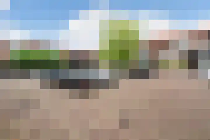 Boskamp 96 Maasland thumbnail 8