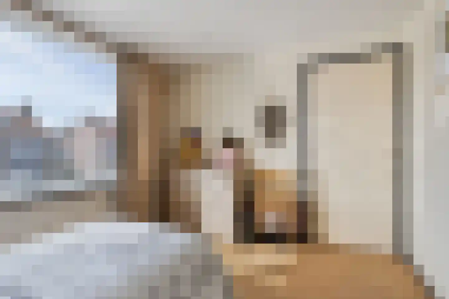 Boskampen 11 Gieten thumbnail 26