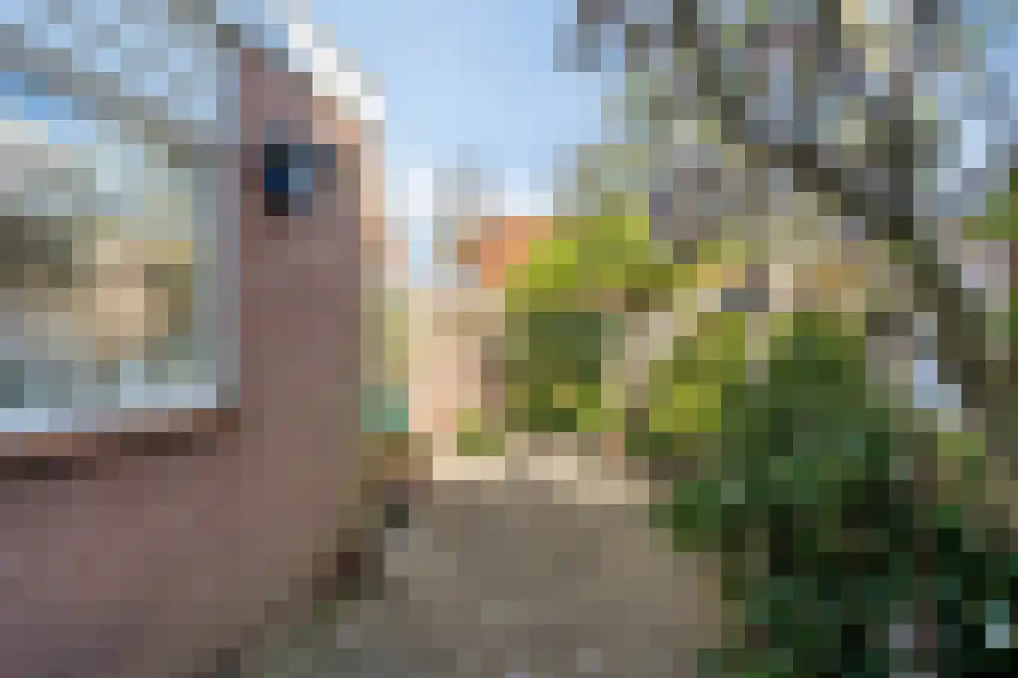 Boskampen 11 Gieten thumbnail 29