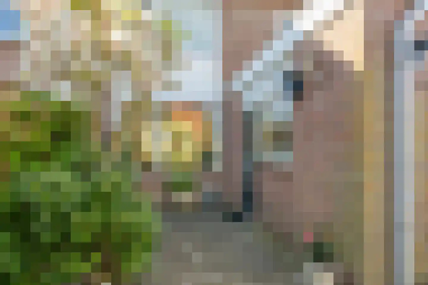 Boskampen 11 Gieten thumbnail 31