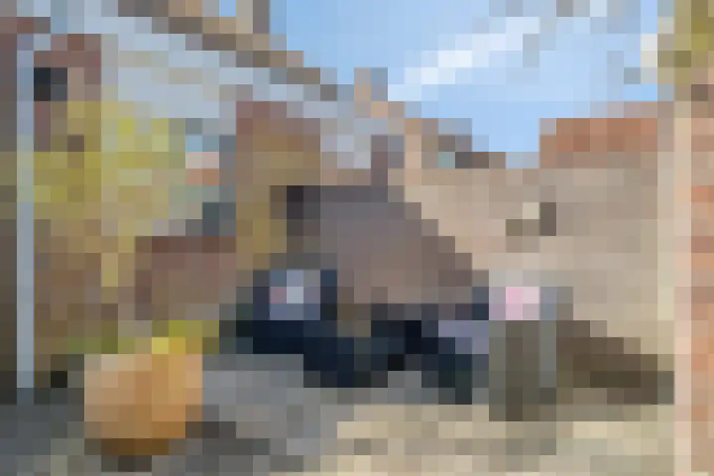 Boskampen 11 Gieten thumbnail 33