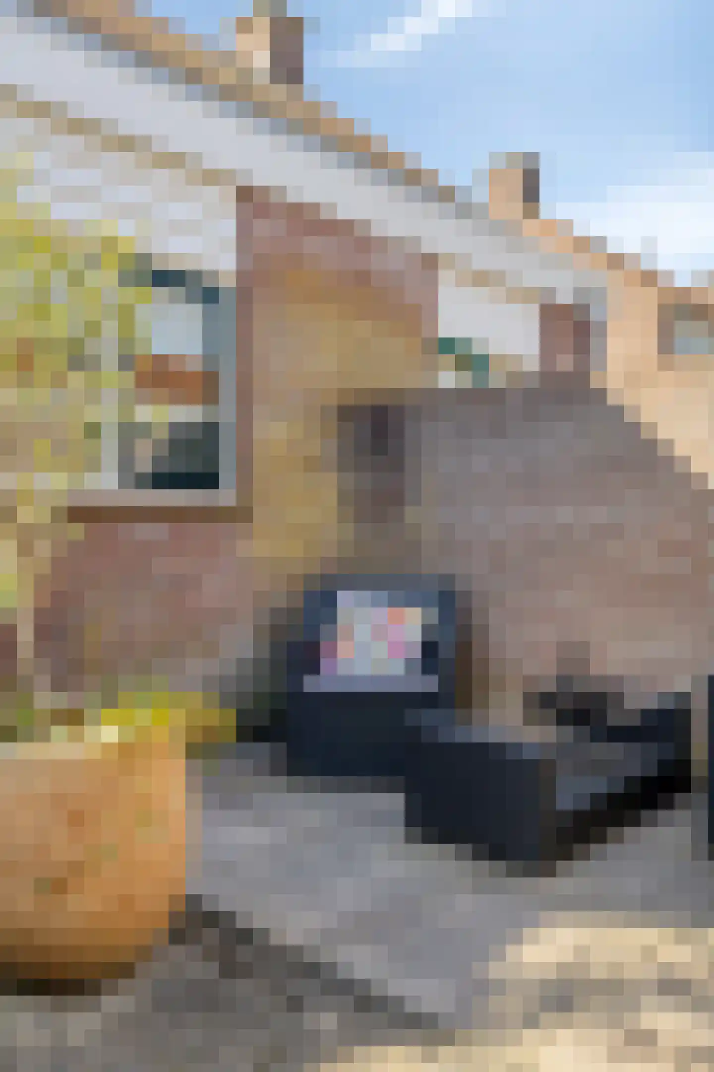 Boskampen 11 Gieten thumbnail 35