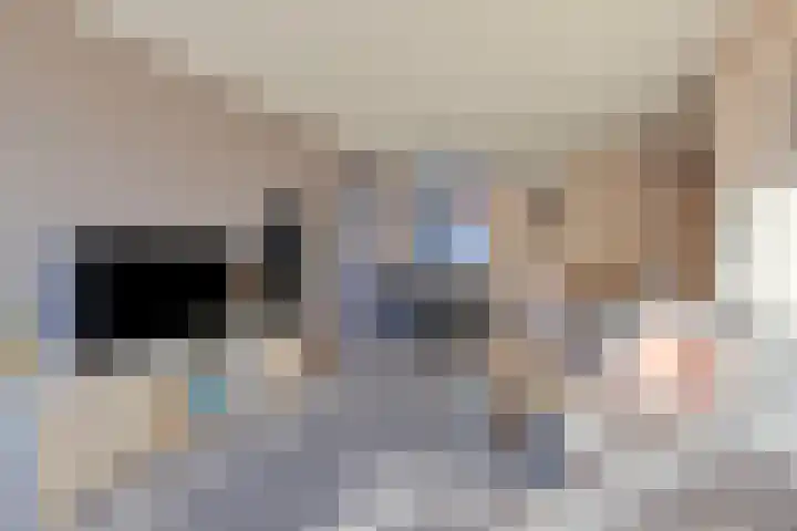 Boskampen 13 Gieten thumbnail 8