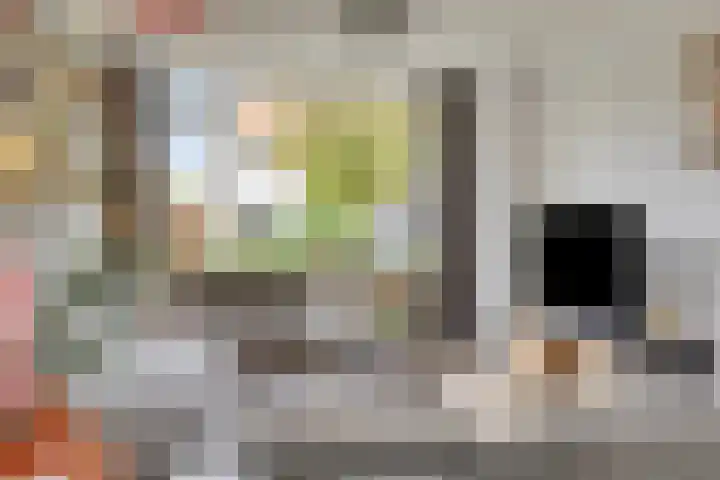 Boskampen 15 Gieten thumbnail 12
