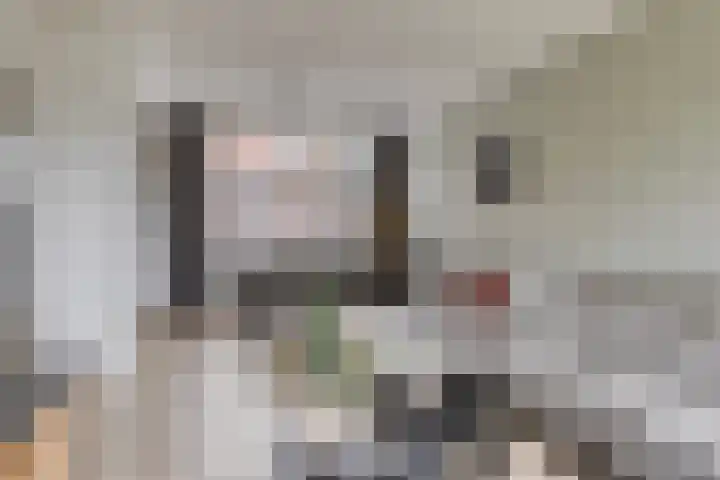 Boskampen 15 Gieten thumbnail 13