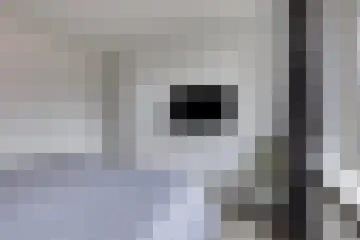Boskampen 15 Gieten thumbnail 20
