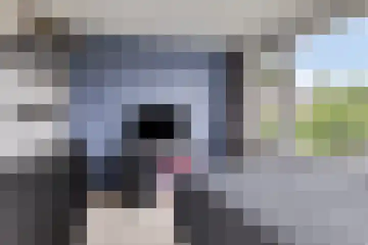 Boskampen 15 Gieten thumbnail 21