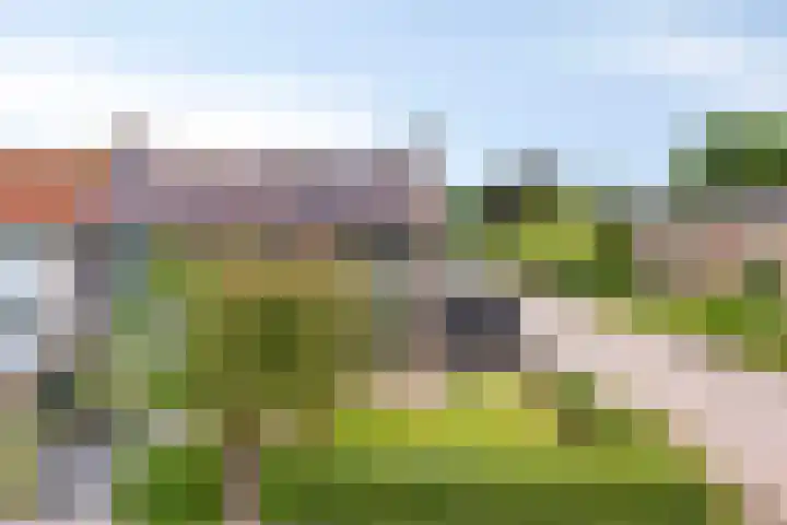 Boskampen 15 Gieten thumbnail 34