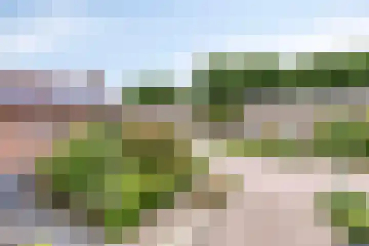 Boskampen 15 Gieten thumbnail 35