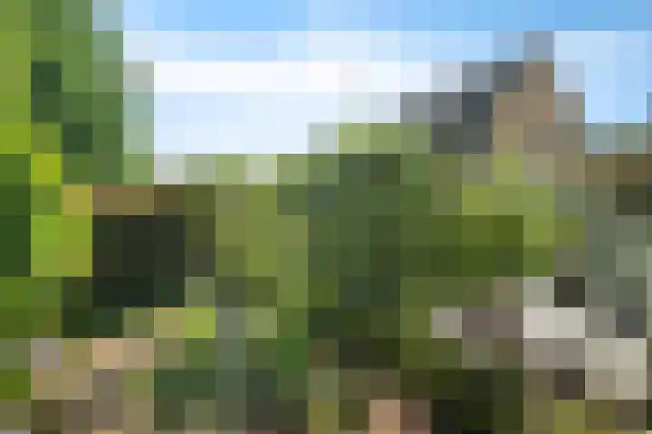 Boskamphoek 59 Enschede thumbnail 33