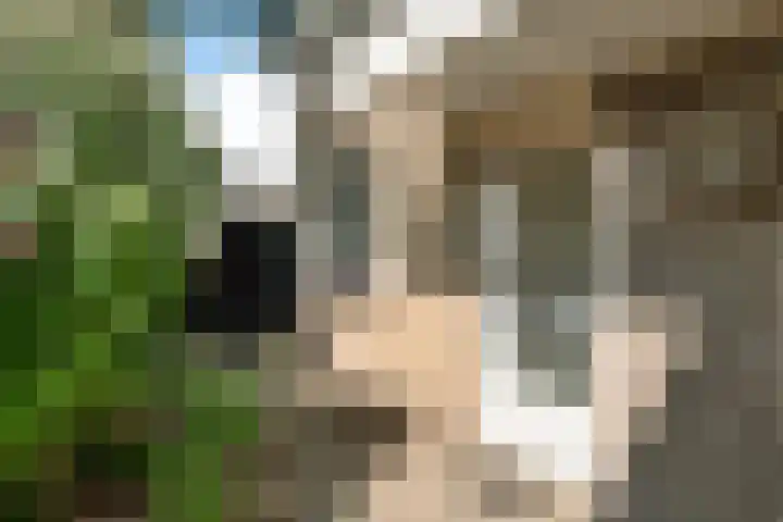 Boskamphoek 59 Enschede thumbnail 6
