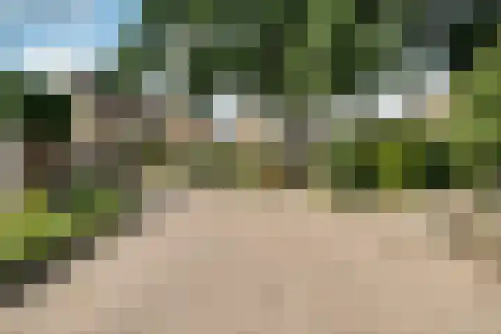 Boskamphoek 59 Enschede thumbnail 7