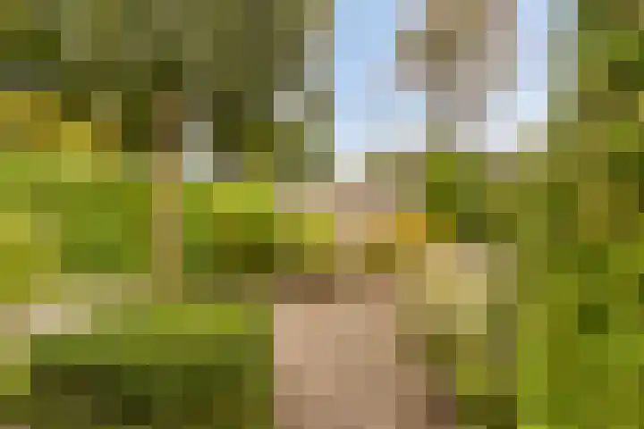Boskamphoek 81 Enschede thumbnail 39