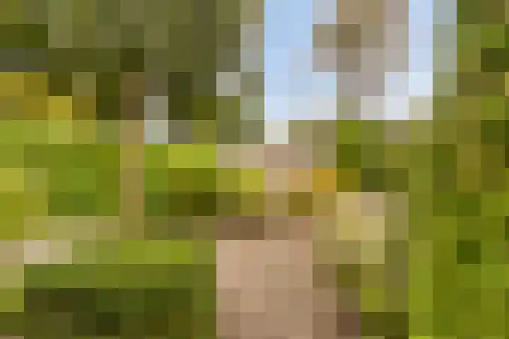 Boskamphoek 81 Enschede thumbnail 4