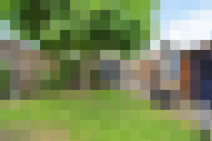 Boskamphoek 85 Enschede thumbnail 19